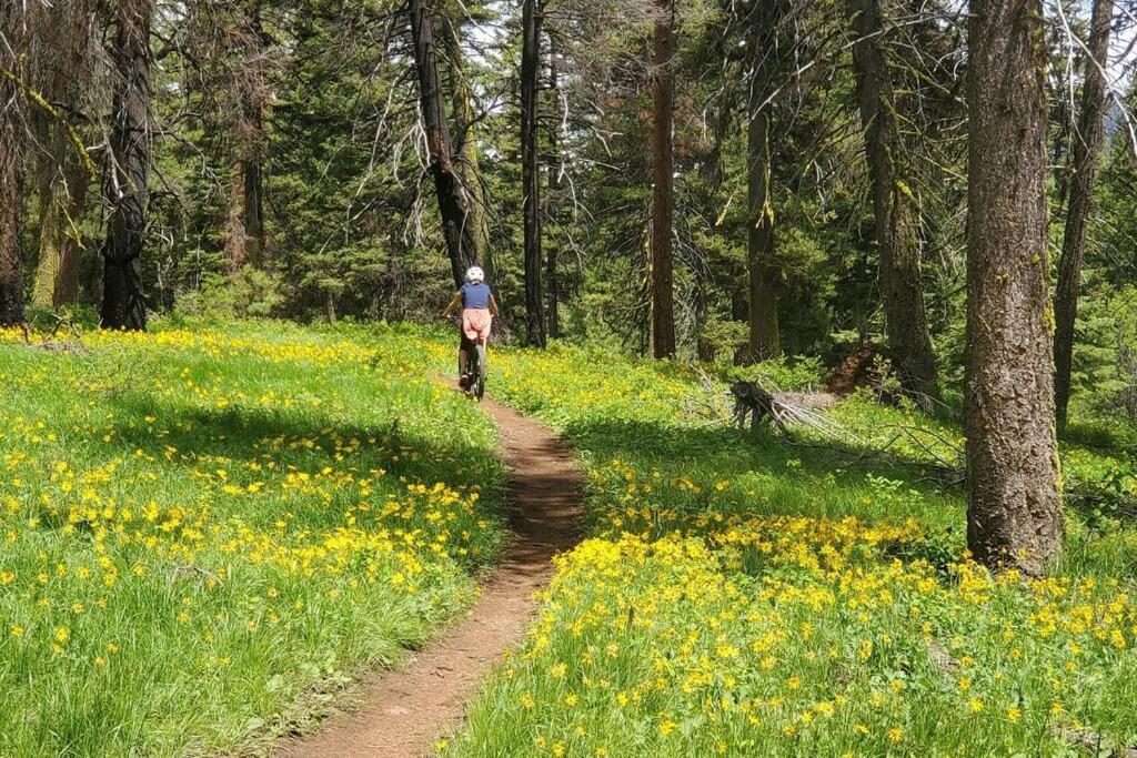 Mccall Mountain Getaway - Pet Friendly 외부 사진