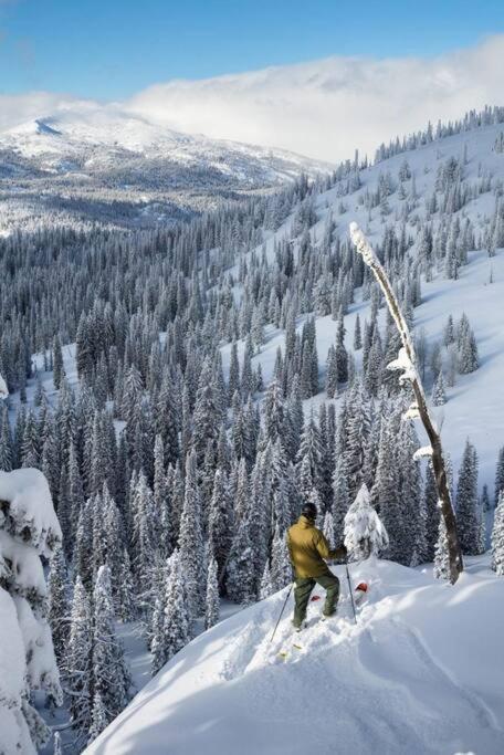 Mccall Mountain Getaway - Pet Friendly 외부 사진